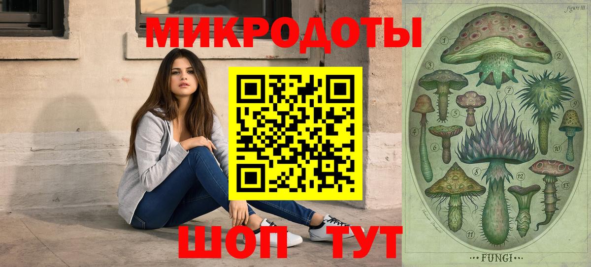 Псилоцибиновые грибы Psilocybe Кирово-Чепецк