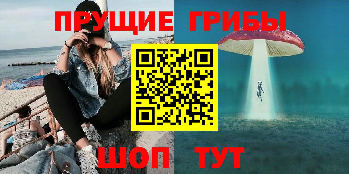 Псилоцибиновые грибы Psilocybe  Вход с VPN  где можно купить   Кирово-Чепецк 